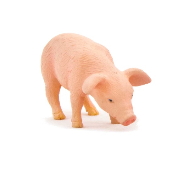 Billede af Mojo - Grisen unge