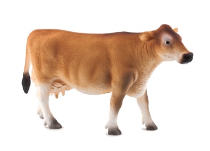 Billede af Mojo - Jersey ko