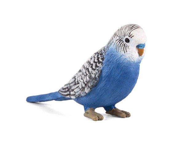 Billede af Mojo - Blue Budgie