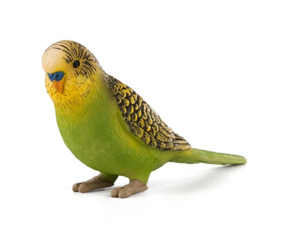 Billede af Mojo - Green Budgie