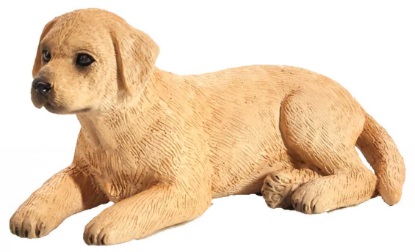 Billede af Mojo - Labrador hundehvalp