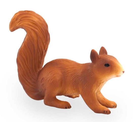 Billede af Egern - Mojo