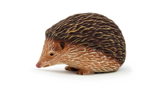 Billede af Mojo - Hedgehog