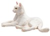 Billede af Mojo- Hvid liggende kat