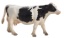 Image de Mojo - Vache Holstein