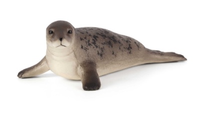 Billede af Animal Planet - Grå sæl