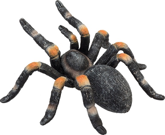 Billede af Mojo - Mexican Tarantula