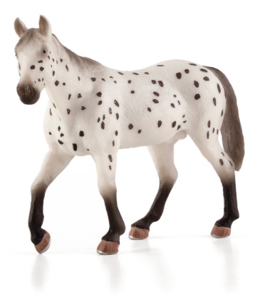 Billede af Mojo - Appaloosa Hingst