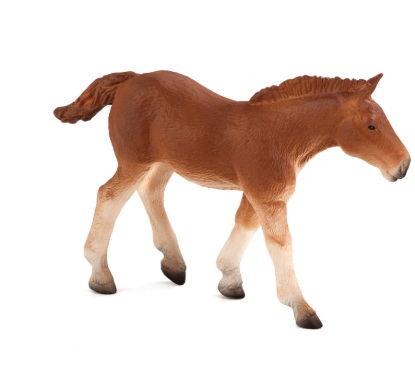 Billede af Mojo. Suffolk Foal
