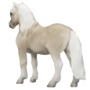 Billede af Mojo Welsh Pony