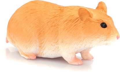 Billede af Mojo - Hamster