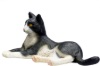 Bild von Liggende sort/hvid kat