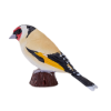 Billede af MOJO - European Goldfinch