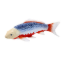 Image de Mojo Carpe Koi, Bleu-Rouge