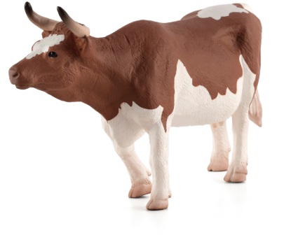 Pilt MOJO - Simmenthal lehm