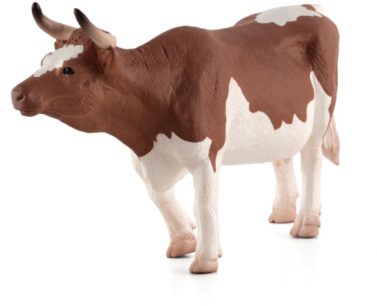 Obrázok z MOJO - Simmenthal ko