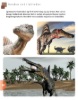 Imagen de Dinosaurios y otros reptiles del pasado