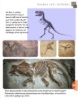 Imagen de Dinosaurios y otros reptiles del pasado