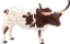 Billede af Mojo - Texas, langhornet tyr